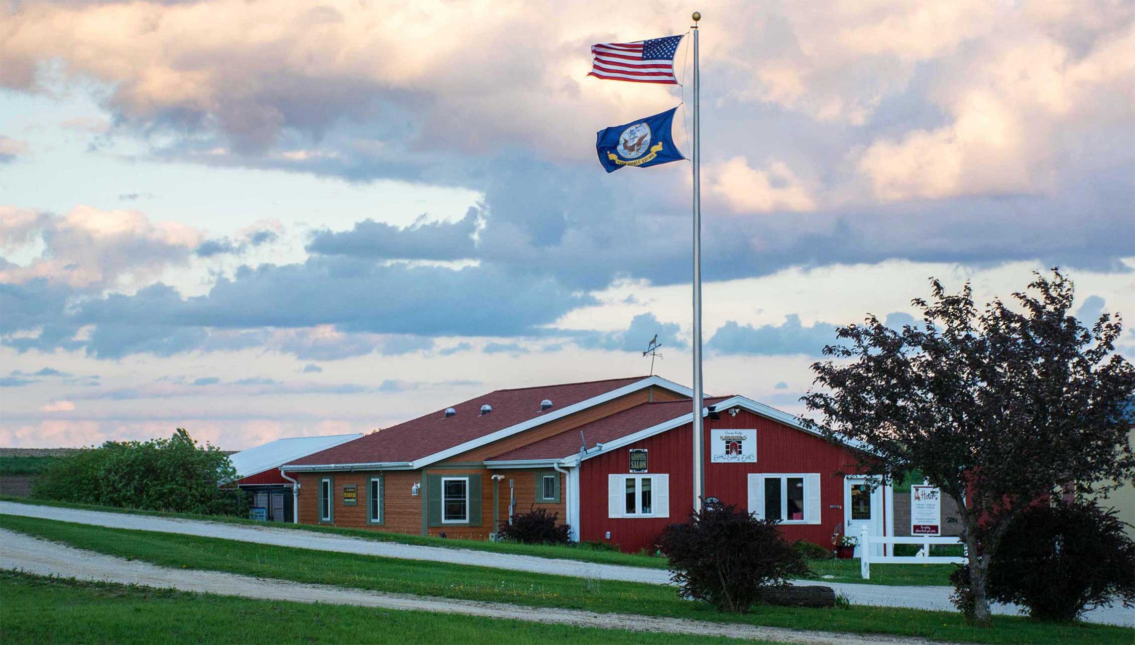 Kennel Neighbors Enjoy Quiet